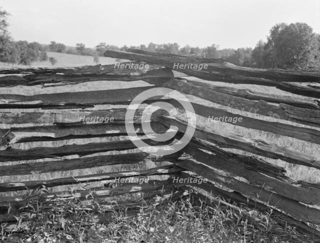 Split-log fence, North central Arkansas, along U.S. 62, 1938. Creator: Dorothea Lange.