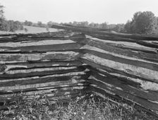 Split-log fence, North central Arkansas, along U.S. 62, 1938. Creator: Dorothea Lange
