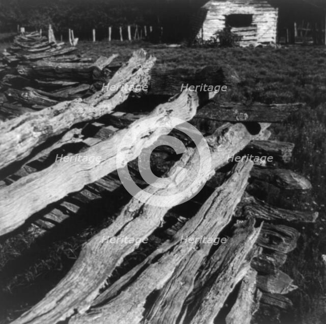 Split-log fence, North central Arkansas, along U.S. 62, 1938. Creator: Dorothea Lange.