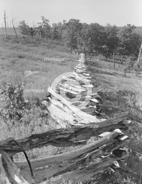 Split-log fence, north central Arkansas, along U.S. 62, 1938. Creator: Dorothea Lange.