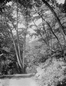 Split Rock Road, Ethan Allen Park, Burlington, Vt., between 1900 and 1920. Creator: Unknown