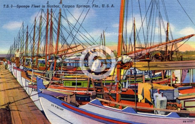Sponge fleet in the harbour, Tarpon Springs, Florida, USA, 1940. Artist: Unknown