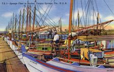 Sponge fleet in the harbour, Tarpon Springs, Florida, USA, 1940