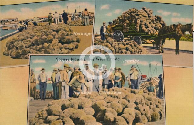 'Sponge Industry, Key West, Florida', c1940s. Artist: Unknown.