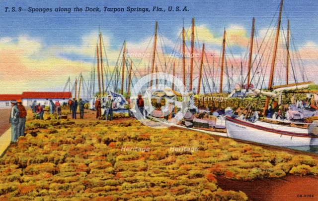 Sponges on the dockside, Tarpon Springs, Florida, USA, 1940. Artist: Unknown
