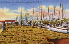 Sponges on the dockside, Tarpon Springs, Florida, USA, 1940