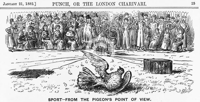 'Sport from the Pigeon's Point of View', 1882. Creator: Unknown.