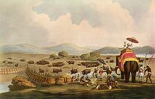 Sport in India - Driving Elephants Into A Keddah c1808, (1901). Creator: Unknown
