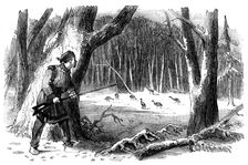 Sporting Scenes in Canada - Wild Turkey Shooting, 1858. Creator: Unknown