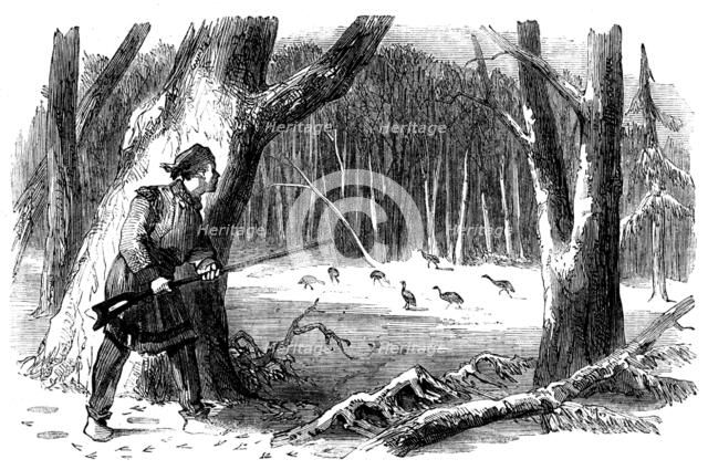 Sporting Scenes in Canada - Wild Turkey Shooting, 1858. Creator: Unknown.