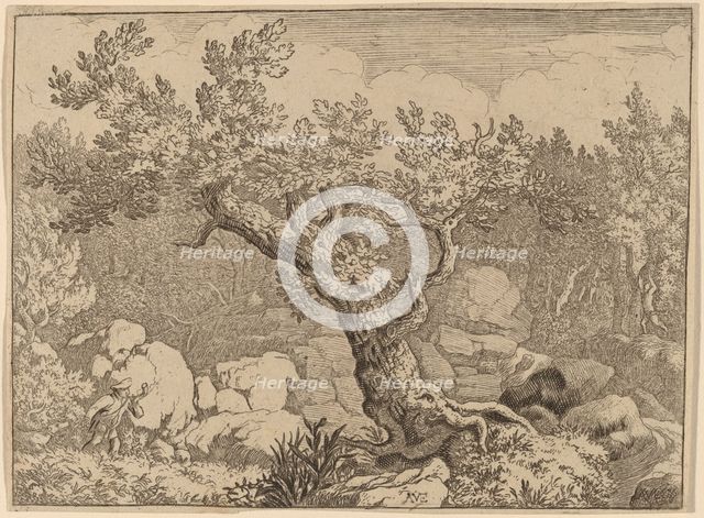 Sportsman near a Large Tree, probably c. 1645/1656. Creator: Allart van Everdingen.