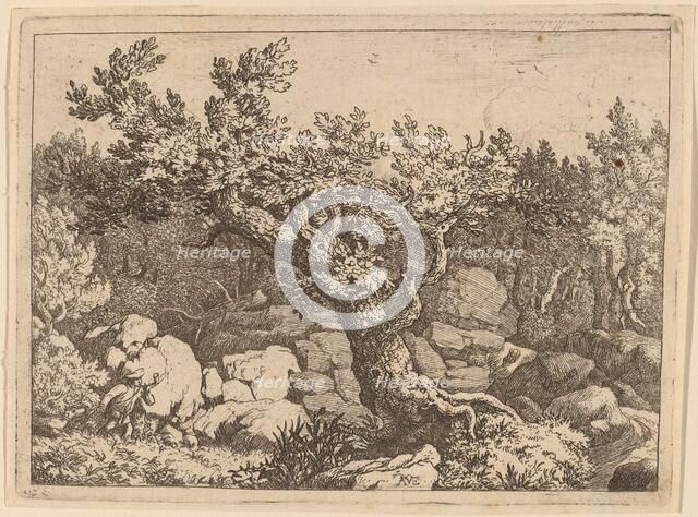 Sportsman near a Large Tree, probably c. 1645/1656. Creator: Allart van Everdingen.