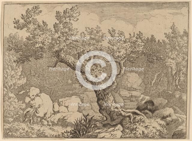 Sportsman near a Large Tree, probably c. 1645/1656. Creator: Allart van Everdingen.