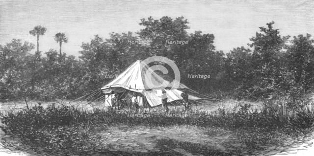 ''Sportsman's Tent in India; Notes on the Indian Wolf, "Canis Pallipes."', 1875. Creator: Charles Horne.