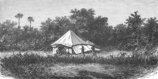 'Sportsman's Tent in India; Notes on the Indian Wolf, "Canis Pallipes." 1875. Creator: Charles Horne