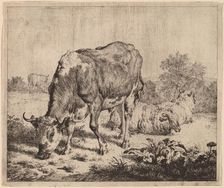 Spotted Bull and Three Sheep, 1670. Creator: Adriaen van de Velde
