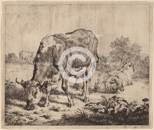 Spotted Bull and Three Sheep, 1670. Creator: Adriaen van de Velde.