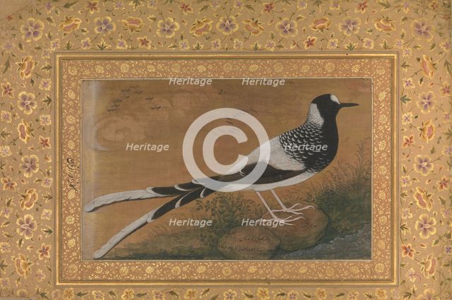 Spotted Forktail, Folio from the Shah Jahan Album, recto: ca. 1610-15; verso ca. 1540. Creator: Abu al-Hasan.