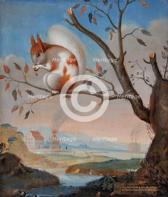 Spotted squirrel at Hogbo mill, 1734. Creator: J.A. Weise.