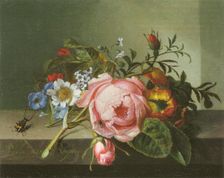 Spray of flowers, with a beetle on a stone balustrade, 1741. Creator: Rachel Ruysch