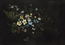 Spray of Flowers and Ferns, date unknown. Creator: Titian Ramsay Peale