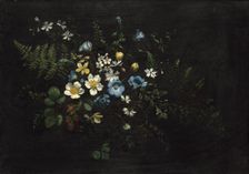 Spray of Flowers and Ferns, date unknown. Creator: Titian Ramsay Peale