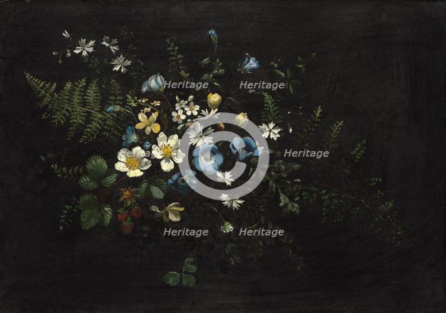 Spray of Flowers and Ferns, date unknown. Creator: Titian Ramsay Peale.