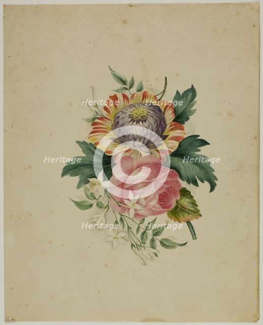 Spray of Flowers, n.d. Creator: Unknown.