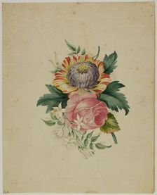 Spray of Flowers, n.d. Creator: Unknown
