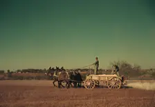 Spreading fertilizer from 4-mule team wagon, Georgia, ca. 1940. Creator: Marion Post Wolcott