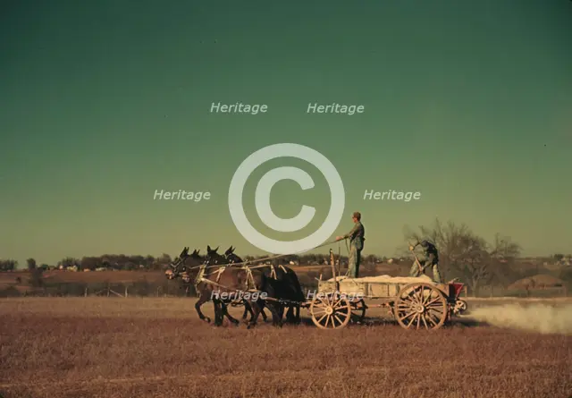 Spreading fertilizer from 4-mule team wagon, Georgia, ca. 1940. Creator: Marion Post Wolcott.