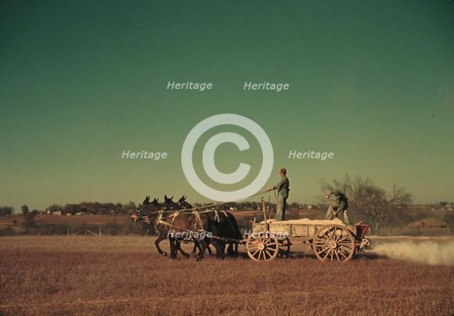 Spreading fertilizer from 4-mule team wagon, Georgia, ca. 1940. Creator: Marion Post Wolcott.