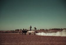 Spreading fertilizer from 4-mule team wagon, Georgia, ca. 1940. Creator: Marion Post Wolcott