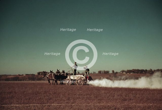 Spreading fertilizer from 4-mule team wagon, Georgia, ca. 1940. Creator: Marion Post Wolcott.
