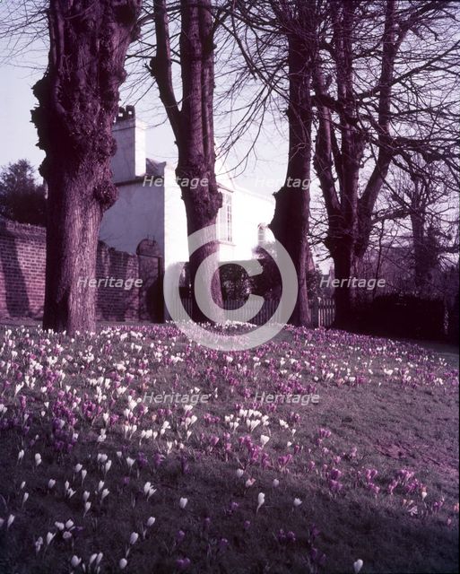 Spring on Hampstead Heath, London, c1955. Creator: Arthur Charles Kirby Ware.
