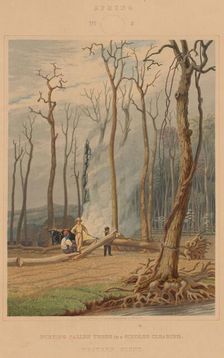 Spring--Burning Fallen Trees in a Girdled Clearing. Western Scene, 1841. Creator: William James Bennett
