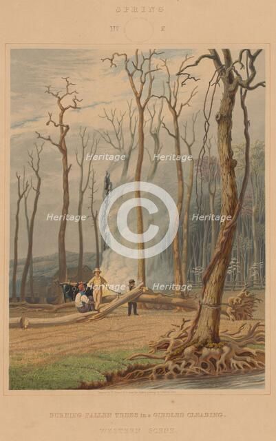 Spring--Burning Fallen Trees in a Girdled Clearing. Western Scene, 1841. Creator: William James Bennett.