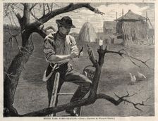 Spring Farm Work - Grafting, 1870. Creator: Winslow Homer (American, 1836-1910)