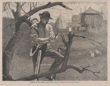 Spring Farm Work - Grafting (Harper's Weekly, Vol. XIV), April 30, 1870