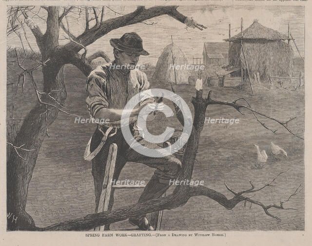 Spring Farm Work - Grafting (Harper's Weekly, Vol. XIV), April 30, 1870.