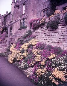 Spring flowers, Blockley, Gloucestershire, c1955. Creator: Arthur Charles Kirby Ware