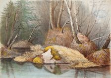 Spring forest interior and flooded bogs, 1851. Creator: Magnus von Wright