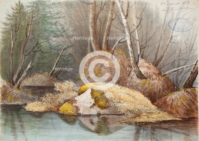 Spring forest interior and flooded bogs, 1851. Creator: Magnus von Wright.