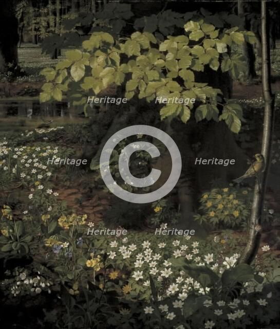 Spring in Charlottenlund Forest, 1862. Creator: Otto Didrik Ottesen.