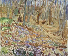 Spring in the Elm Forest