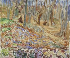 Spring in the Elm Forest