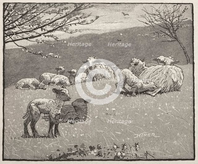 Spring Lamb, 1880. Creator: Winslow Homer (American, 1836-1910).