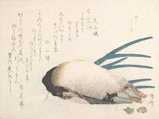 Spring Rain Collection (Harusame shu), vol. 1: Duck and Scallions, 1810s., 1810s. Creator: Shinsai