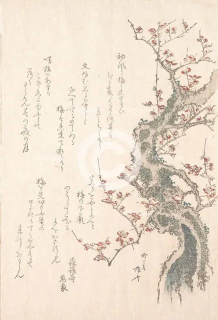 Spring Rain Collection (Harusame shu), vol. 1: Plum Tree in Bloom, ca. 1805-10., ca. 1805-10. Creator: Shinsai.
