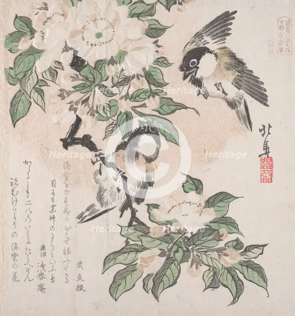 Spring Rain Collection (Harusame shu), vol. 3: Marsh-tits and Crab Apple Flowers, ca. ..., ca. 1820. Creator: Hokuba.